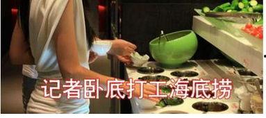 娱乐吃瓜酱洗碗