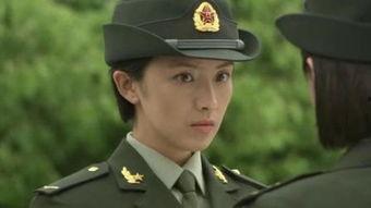 向兵资料,从基层奋斗者到行业领军者的蜕变之路